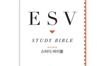 유튜버추천 베스트8 esv스터디바이블(가죽장정) 베스트8