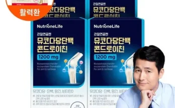 갑성비아이템 베스트8 뉴트리원 정우성 관절연골엔 뮤코다당단백 콘드로이친 8박스 알아보기