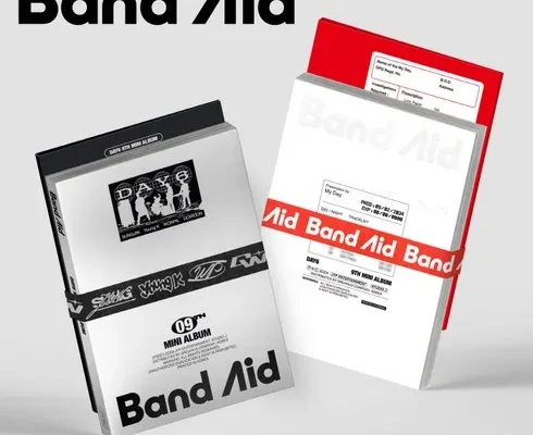 답례품 베스트8 데이식스bandaid 사용리뷰분석